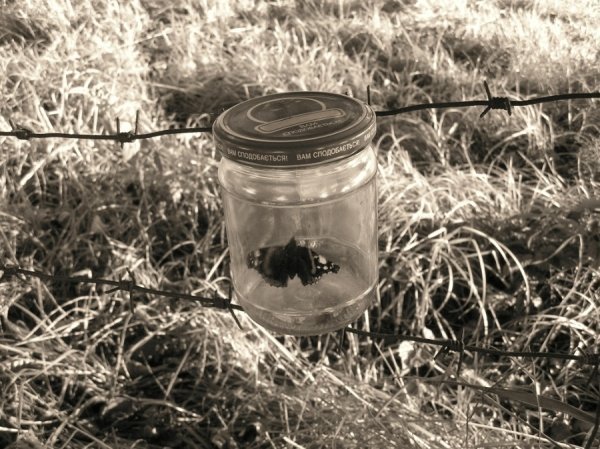 Фотовиставка Тетяни Полуектової